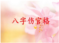 伤官格是几等命？才思敏捷【易经八字算命】