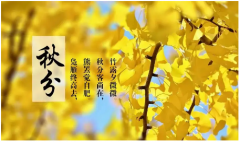 2022年秋分：伏萝卜二伏菜三伏里头种白菜