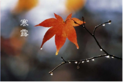 饮坠露,餐秋菊是指什么节气？表示着秋天