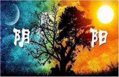 纯阴命前世是仙体吗？八字测命纯阴命财运发展好不？