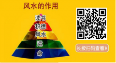 <b>门口适合放什么花?易经看风水茶树花作用极多</b>