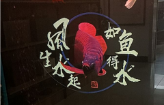 车牌号为什么要选大数?易经看风水吉祥如意