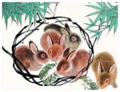 属兔买房子什么方位好？属相算命节节高升昌顺亨通