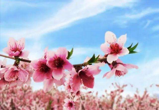 1662637885973292.jpg src=http___nimg.ws.126.net__url=http___dingyue.ws.126.net_2021_0330_f3ba41f6j00qqscbr000wc000hs00cac.jpg&thumbnail=650x2147483647&quality=80&type=jpg&refer=http___nimg.ws.126.jpg