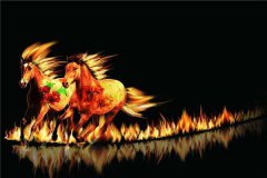 富贵马农历哪一天出生？八字看命吉运傍身！福气常伴！