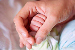 属鸡人几点出生必定大富大贵？出生日算命福禄双全