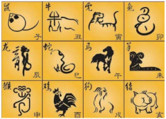 属相排名特好的前五位：算卦一条街生肖算命谁特好命？