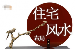 真人算命一条街风水预测：家里摆放假花好不好？不利于招财纳福