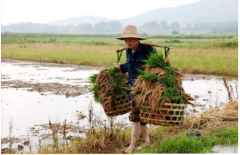 真人在线一对一算命八字详批：注定是穷命的日柱
