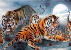 十二生肖虎配什么生肖最好?生肖配对属虎最佳婚配