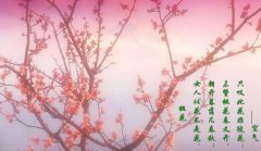 真人在线算命一条街​：2023年桃花最旺的八字！驿土命有很好的桃花运