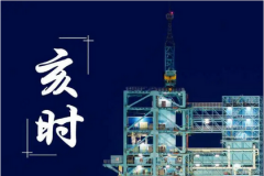 真人在线算命一条街​八字看命：为什么亥时女不能娶？整体命运分析