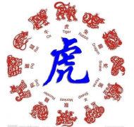 网上算命大师一条街生肖配对：属虎和什么生肖相克？什么生肖相冲？