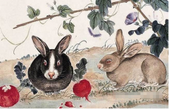 命理预测：2023年属兔是什么命？属兔几月份出生命最好？
