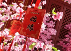 十二属相婚配：95年猪与01年蛇相配吗？是六冲生肖之一