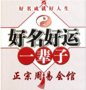 2023年出生兔宝宝起名：2023年出生的宝宝取名