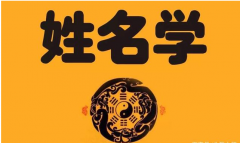 算卦真人算命一条街：公司起名聚财的字有哪些？招财旺运名字