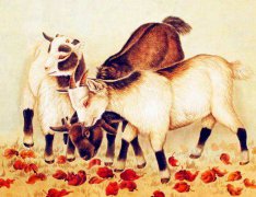 生肖算命:属羊2023年最忌讳的颜色,要尽量避免白色元素