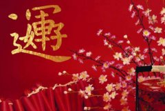 2023癸卯年哪些人好运？八字详解2023考试运最旺八字