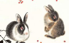 2023年属兔大溪水命好吗？运势预测遇到贵人财运顺畅