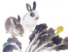 2023年水兔和什么相克？周易预测属鼠人心机重城府深