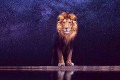 狮子座明日星座运势：2022年11月3日（在线算命最准的网站）