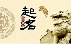 2023年属兔宝宝起名字：兔宝宝起名喜用字