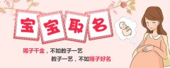 2023兔宝宝取名宜忌：100分属兔宝宝起名字