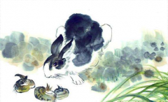 预测命运：属兔卯时出生的男孩女孩命运怎样？