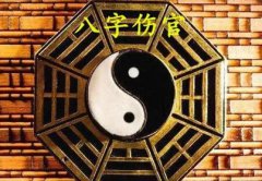 <b>难得一见的金水伤官！排八字算命金水伤官聪明绝顶吗？</b>