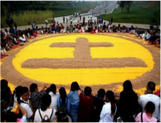 五行缺土的人2023年运势测算：兔年人缘下滑同时需养脾胃