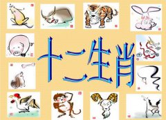 周易算命网站运势测算：2022年11月15日的吉利属相有哪些？