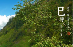 巳时出生是非常好的时辰！测八字算命巳时出生则聪慧机智