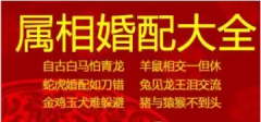 兔年和什么生肖最配？12生肖配对卯兔与戌狗乃上上等婚配