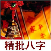 乙巳日柱2023癸卯年运势：测八字算命兔年干支相生事业爱情双丰收