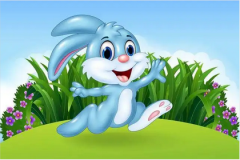 2023年属兔什么水命？测生辰八字水兔之命喜欢随遇而安