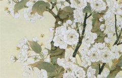 预测命运：寅申相冲为吉！寅申相冲最佳化解方法