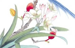 女命丑未戌三刑的后果预测命运：三刑刑出大贵人条件