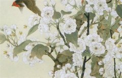 寅亥合化木预测命运会短命吗？寅亥合化木成格条件