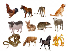 易经免费算命网生肖运程：2023年1月3日需要注意的属相有哪些？