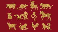 周易算命网站生肖算命：2023年1月7日需要注意的属相有哪些？