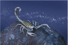 天蝎座每日星座运势:2023年1月10日(真人算命最准的网站)