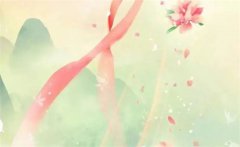 富贵命的女人预测命运有什么特征？八字伤官配印荣华富贵