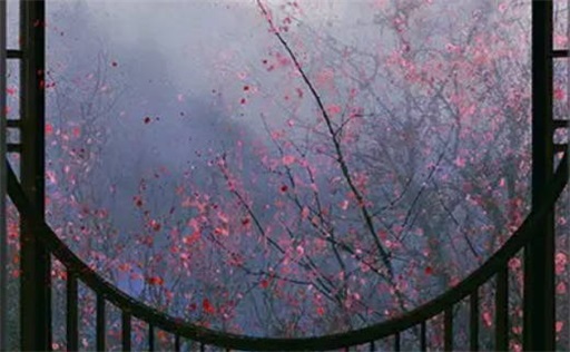 癸卯年容易怀孕的八字 2023年哪些人子女宫动有好“孕”