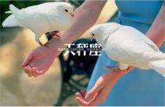 天秤座每日星座运势:2023年1月19日(算命一条街最准网站)