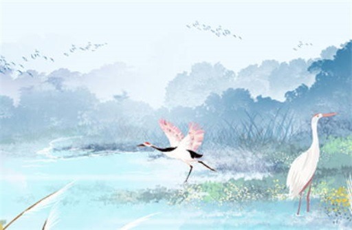 癸水为什么有前世记忆 癸水日元最厉害的格局