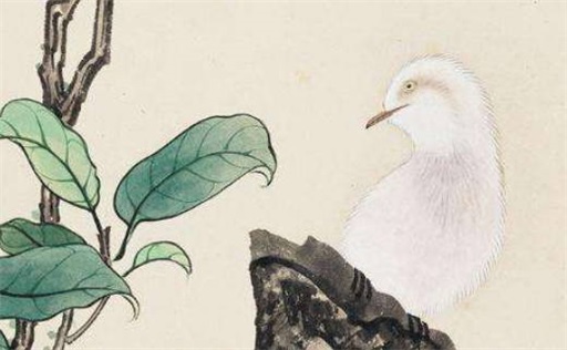 2023年2月甲寅月运势 各日柱运势大转折吗