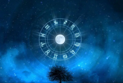 运势君每日星座运势：2023年2月4日（算命一条街最准网站​）