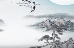 身弱财旺的女人长相运势测算：身弱压不住财怎么补救