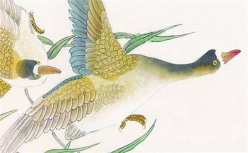 壬水遇什么地支大富大贵 壬水见癸水一生富贵吗